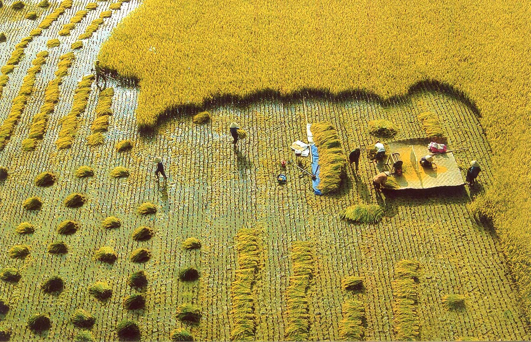Triển lãm Bắc Miền Trung 2012